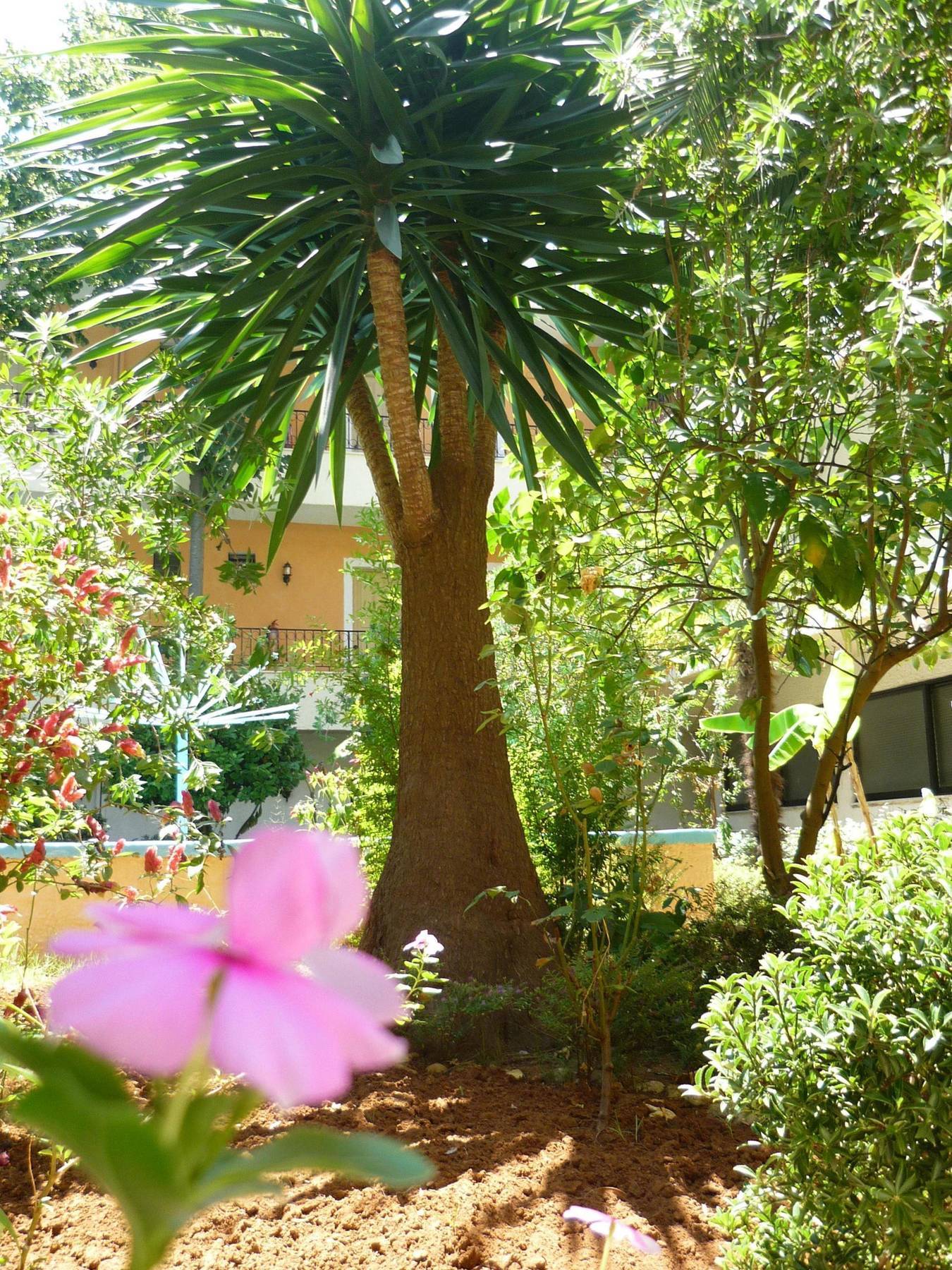 Hotel Alkionis モライティカ エクステリア 写真
